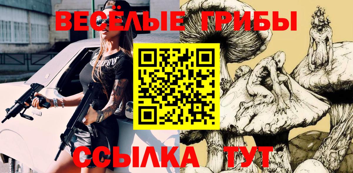 Галлюциногенные грибы Magic Shrooms Знаменск