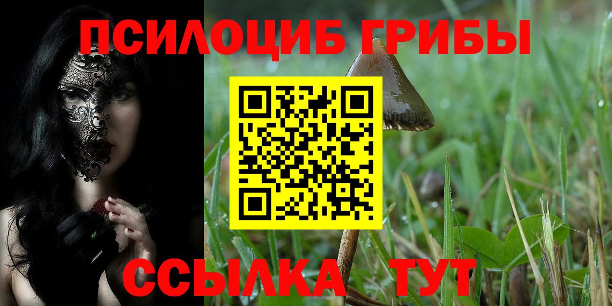 Галлюциногенные грибы GOLDEN TEACHER  Галлюциногенные грибы ЛСД  Знаменск  Вход с VPN 